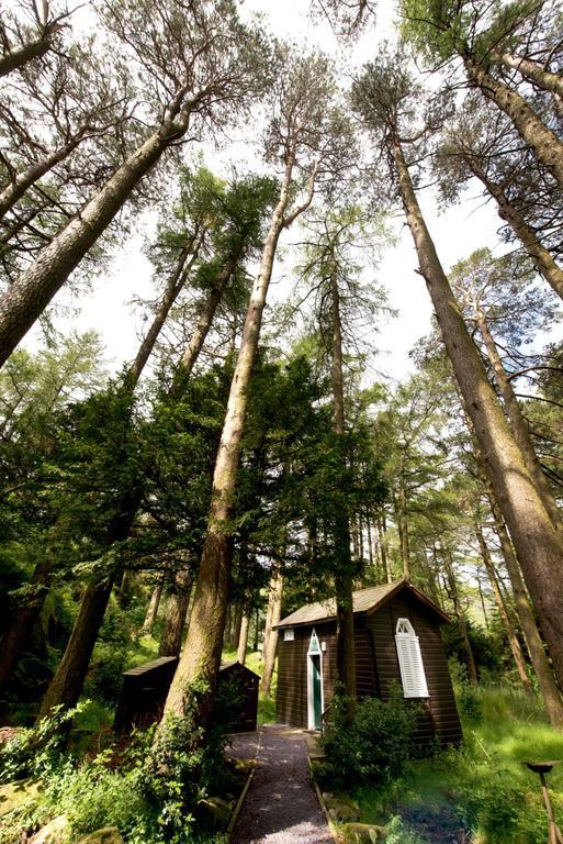 Yha Idwal Cottage Bethesda Exterior photo