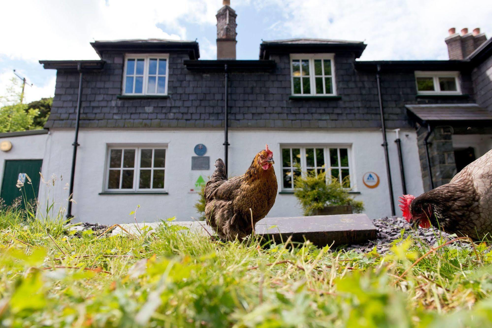 Yha Idwal Cottage Bethesda Exterior photo