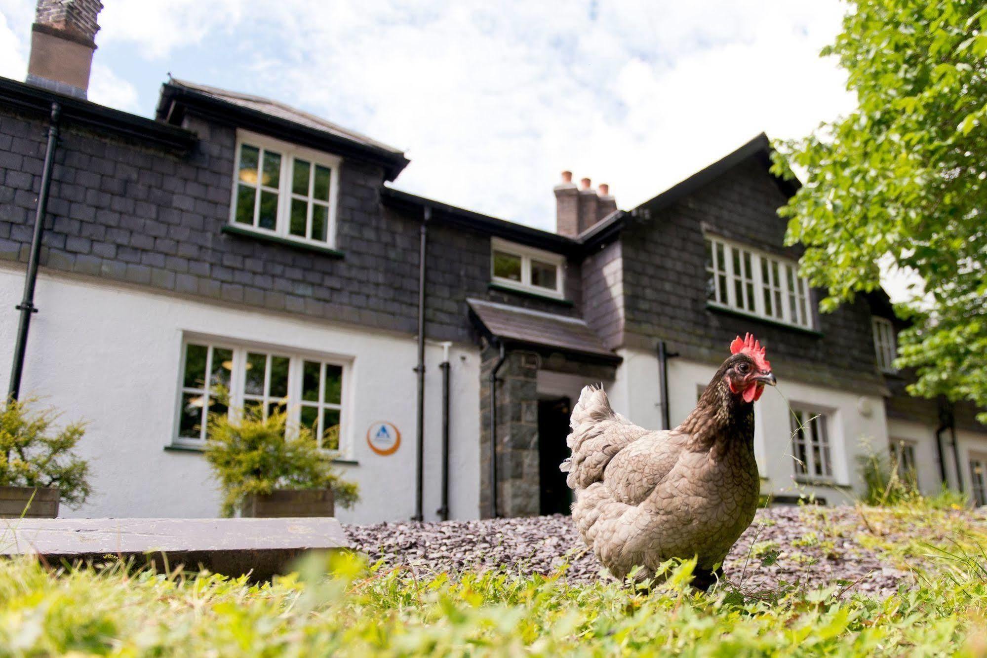 Yha Idwal Cottage Bethesda Exterior photo